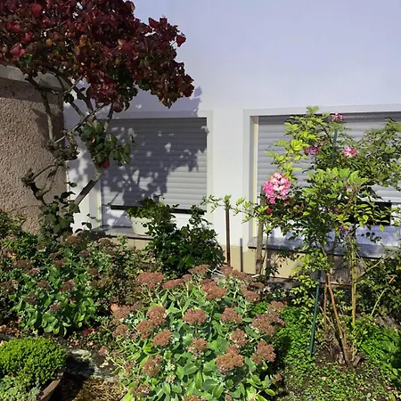 Lägenhet Moderne Souterrain-oase In Top-lage Bad Hersfeld